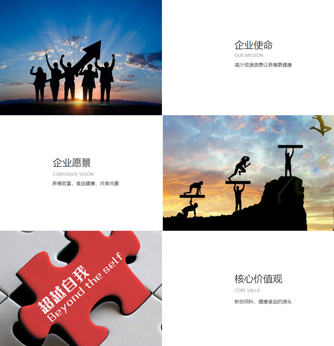 开云手机网(图1)